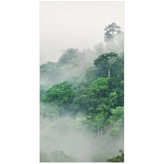 Duschrückwand - Dschungel im Nebel, Material:Hartfolie Smart Glanz 0.32 mm, Größe HxB:1-teilig 200x80 cm