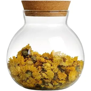 Glasflasche für Hydrokulturpflanzen, Sukkulenten, Terrarium, Glasvase mit Deckel, Hydrokultur-Glas-Terrarium, Behälter, Glas-Luftpflanzen-Terrarium für Pflanzen für Wasserpflanzen oder Blumen,