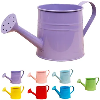 Gießkanne Klein Zimmerpflanzen 1L Kleine Gießkanne Metall Blumentopf Giesskanne Garten Balkon Watering Can Kieskanne Vintage Blumengießkanne Pflanzengießkanne Gartenwerkzeug (Lila)