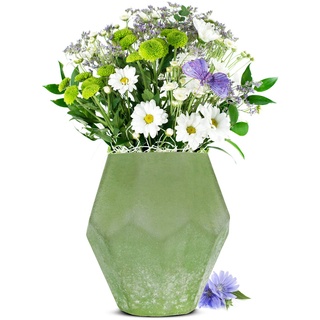 Blumenvase 'Heidi' Vase Tischvase Glasvase Dekovase Blumentopf Pflanztopf (Grün)