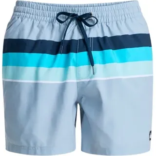 Quiksilver - Everyday Printed Volley 15'' - Badehose Gr S blau