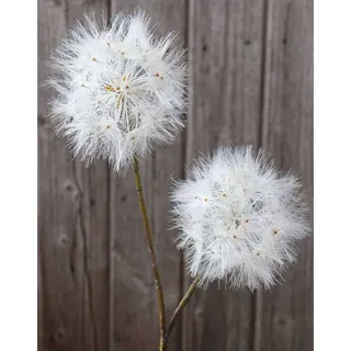 Künstliche Pusteblume, 2-fach, 85 cm, creme-weiß