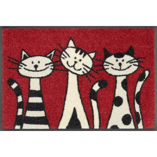 Wash+Dry Three Cats 40 x 60 cm Rot