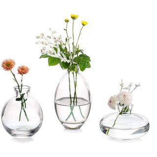 EylKoi Kleine Vasen füR Tischdeko Glas 3 Stück/Satz Transparent Mini Vase Vintage Handmade Hydroponic Glasvase Blumenvase Modern Set Fuer Hochzeit Tischdeko, Zuhause Wohnzimmer Blumen Rose