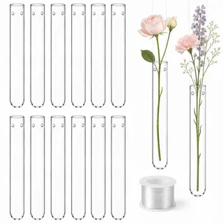 Forbabe 12 Stück 20 x 150mm Reagenzgläser für Blumen zum hängen, Reagenzglas Vase Kleine Blumenvase mit Loch und 7.6m Aufhängungslinie, Blumen Vasen Deko Hängevase für Hochzeiten Wohndekoration Party
