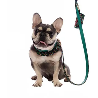 s GROßES Set für kleine Hunde aus grünem Leder mit Hexagramm-Motiv, bestehend aus Halskrause, Leine und Taschenhalter, hergestellt in Italien, G...
