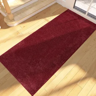 Fußmatte Für Den Innenbereich, 60 X 150 Cm, Lang, Rutschfest, Maschinenwaschbar, Weiche, Saugfähige Bodenmatte Für Hunde, Eingang, Türbereich, Flur, Durchgang Und Küche