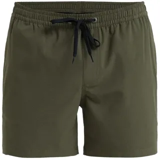 QUIKSILVER Everyday Flex Volley 15" Boardshorts ́ Mann