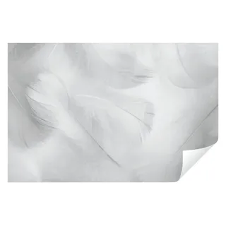 Wallarena Fototapete Federn Modern 3D Effekt Vlies Tapete Wohnzimmer Schlafzimmer, Glatt, Feder, Abstrakt, Grau, Tapete inklusive Kleister Vliestapete Motivtapete 2.08 m x 1.46 m