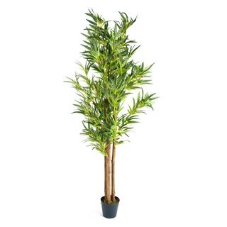 PLANTASIA Kunstpflanze Höhe 160 cm, Bambus, mit Echtholzstamm, im Topf
