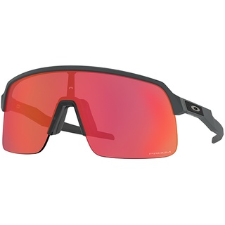 Oakley Sutro Lite Sonnenbrille (Größe One Size, grau)