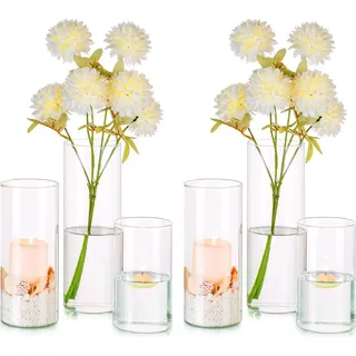 Glasvase 6er Set, Zylinder, 15 cm bis 25 cm, für Blumen, Klarglas