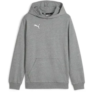 Puma Hoodie Grey 152
