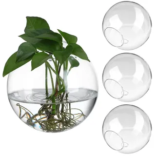 Cabilock 4 Stücke Wandbehang Glas Pflanzgefäße Blumenvase Wandvasen Pflanzen Hydrokultur Vase Wand Glasvase Konische Vase Hängender Blumentopf Pflanztopf Kaktus Sukkulenten Topf Garten Deko