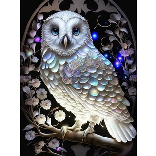 Starnearby DIY Diamond Painting Erwachsene Owl Leuchtend im dunkeln Bilder,Diamant Painting Eule Bilder für Malen Nach Zahlen Hausgeschenk Deko für Familie 30 * 40 CM(C)