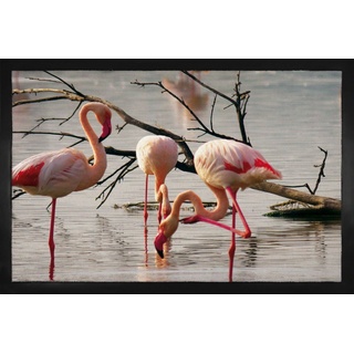 Fußmatte Flamingos - Rosa Flamingos In Einem Teich In Der Camargue, 1art1, Höhe: 5 mm 60 cm x 40 cm x 5 mm