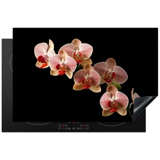 MuchoWow Herd-Abdeckplatte Blumen - Orchidee - Rosa - Botanisch - Natur, Vinyl, (1 tlg), Küche Herdabdeckplatte Ceranfeld Vinyl Einteilig, 80x52 cm bunt 80 cm x 52 cm x 0.2 cm
