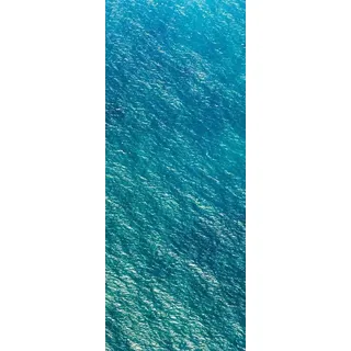 KOMAR Fototapete Vlies Blaupause Panel 100 x 250 cm 100 x 250 cm