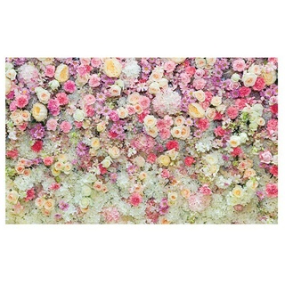 Fototapete Blumen-Rose  (B x H: 368 x 254 cm, Papier)