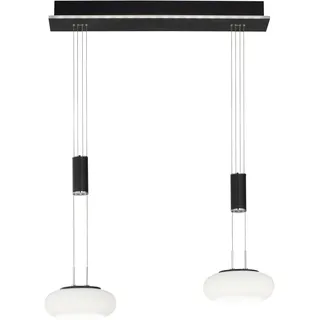 Paul Neuhaus Q ETIENNE 2-flg. 65 cm länglich schwarz