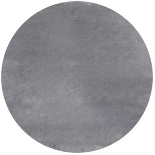 CarpetSale24 Teppich Wohnzimmer Einfarbig Grau 200 cm Rund - Waschbar Rutschfest Kurzflor Extra Weich für Wohnzimmer Schlafzimmer Jugendzimmer