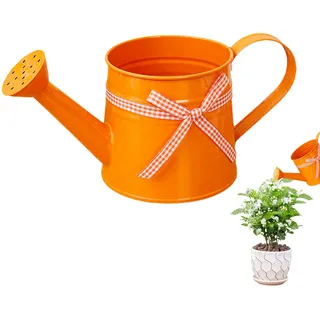 Metall Gießkanne – 1 L Kleine Gießkanne Für Innen Und Außenpflanzen | Moderne Pflanzenwasserkannen Aus Metall Mit Griff | Haushalts Gartengerät Für Blumen, Zimmerpflanzen (Orange)