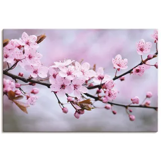 Wandbild ARTLAND "Kirschblüten" Bilder Gr. B/H: 90 cm x 60 cm, Leinwandbild Blumen Querformat, 1 St., pink Kunstdrucke