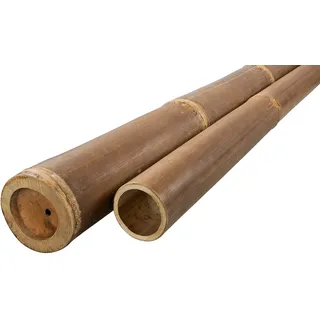DE-COmmerce® Bambuspfosten Bambusrohr Bambusstangen für Sichtschutz Zaun Montage Bambus Dekoration Rohr aus Bambus NIGRA 200 cm - Ø 8-10 cm