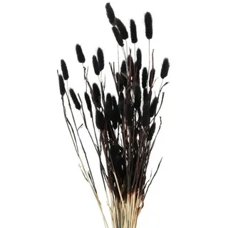 Boltze home Deko-Zweige für Vase, getrocknet, 70 cm, Farbe:schwarz