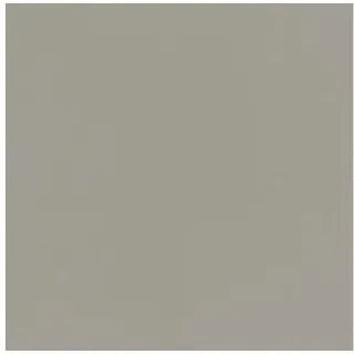 GARDINIA Schiebevorhang Basic 60x245cm anthrazit