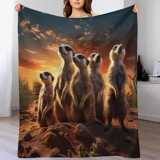 PAZZK Erdmännchen Decke, Flannel Tagesdecke Couchdecke Sesseldecke Wohndecke Vier Jahreszeiten Decke Kuscheldecke Sofadecke Mit Muster,(130×150cm)
