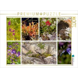 CALVENDO Puzzle CALVENDO Puzzle Sehnsucht Norwegen - Abwechslungsreiche Flora in allen Landschaften 1000 Teile Lege-Größe 64 x 48 cm Foto-Puzzle Bild von Mr.Mooseman, 1000 Puzzleteile