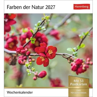Harenberg Postkartenkalender 2027