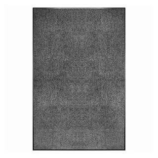 vidaXL Fußmatte 120 x 180 cm Anthrazit