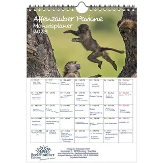 Seelenzauber Wandkalender Affenzauber Paviane Wand- Planer Kalender für 2025 DIN A4 Affen weiß