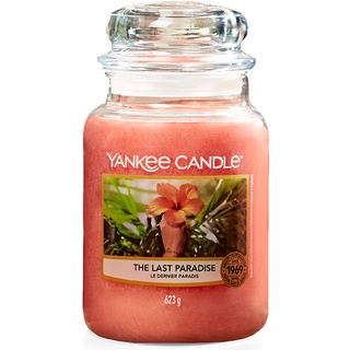 Yankee Candle The Last Paradise Duftkerze, Glas, Peach, 623g, 623