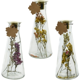 Decoris 1 Spitzkerzenhalter mit Trockenblumen im Glas 8x19cm Gold Glasvase Tischdeko Boho Vintage Hochzeit Skandinavische Deko Vase Glasflasche für Kerzen