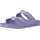 Purple Fog 36