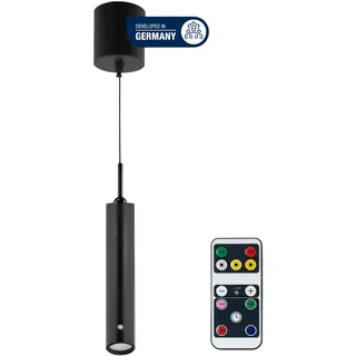 REV Ritter REV Pendelleuchte 1-flg. 37-163 cm schwarz