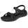 black 36