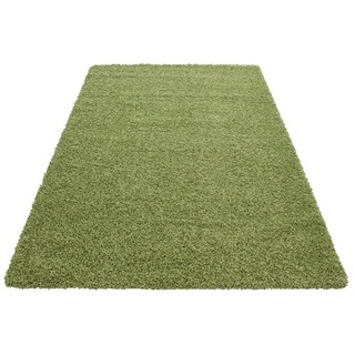 Hochflor-Teppich Runder Shaggy Teppich LIFE GREEN 200 X 200cm, SchönesWohnen24 grün 200 cm x 200 cmSchönesWohnen24