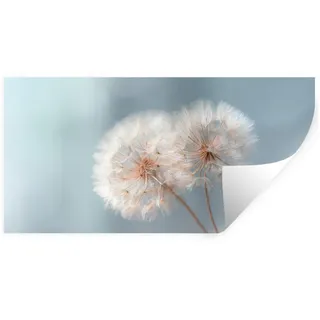 MuchoWow Wandsticker Pusteblumen - Flauschig - Weiß (1 St), Sticker für die Wohnzimmer und Schlafzimmer, 160x80 cm 160 cm x 80 cm x 0.1 cm