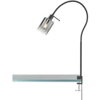 FISCHER & HONSEL LED Klemmleuchte, LED wechselbar, Warmweiß, Spot Klemm-Leuchte Leselampe & Schwanenhals Bett-Lampe Schwarz schwarz
