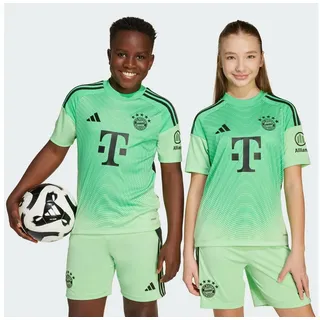 adidas FC Bayern München Torwarttrikot 2025/26 Kinder grün Gr. 176