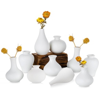 Sziqiqi Kleine Weiße Keramik vasen - Satz von 10 Mini Handgemachte Keramikvasen für Blumen Pampasgras Moderne Blumenvase Dekoration für Wohnzimmer Küche Büro Küche Tisch