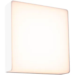 Paulmann LED-Außenwandleuchte Azalera