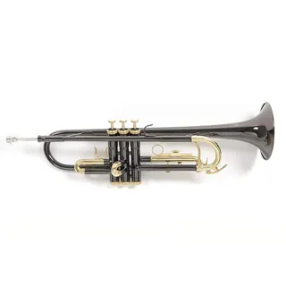 Roy Benson TR101K Trompete schwarz und Gold