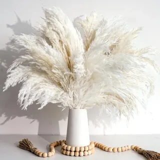 20 Weiß Pampasgras Deko – Ästhetische Vasen und Vintage Landhausstil Blumen für Wohnzimmer, Schlafzimmer & Badezimmer