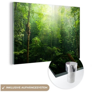 MuchoWow Acrylglasbild Dschungel - Sonnenlicht - Grün - Mädchen - Kinder - Jungen, (1 St), Glasbilder - Bilder auf Glas Wandbild - Foto auf Glas - Wanddekoration bunt 60 cm x 40 cm x 0.5 cm