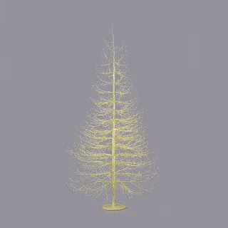 EDG Enzo De Gasperi Buche Rich Weihnachtsbaum mit 2690 Microled 210 x 130 cm Gold
